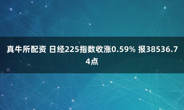 真牛所配资 日经225指数收涨0.59% 报38536.74点