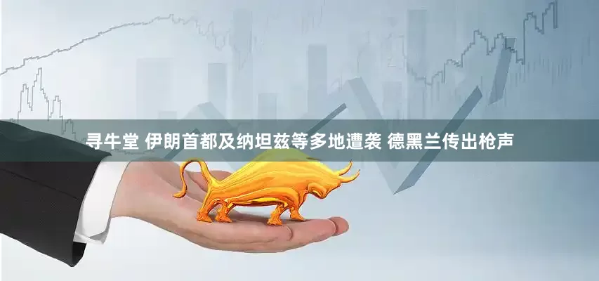 寻牛堂 伊朗首都及纳坦兹等多地遭袭 德黑兰传出枪声