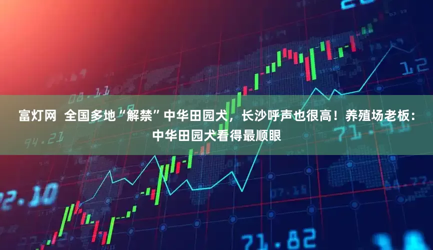 富灯网  全国多地“解禁”中华田园犬，长沙呼声也很高！养殖场老板：中华田园犬看得最顺眼